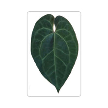Load image into Gallery viewer, Anthurium Ace of spades sticker 2”x2” - Jungle Vibes and Vines
