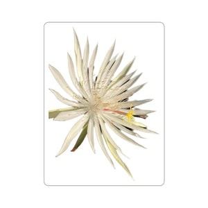 Epiphyllum flower sticker 2”x2” - Jungle Vibes and Vines