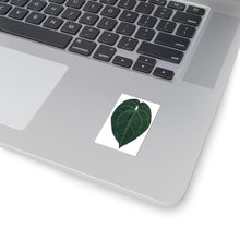 Load image into Gallery viewer, Anthurium Ace of spades sticker 2”x2” - Jungle Vibes and Vines
