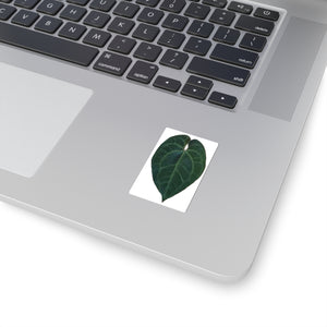Anthurium Ace of spades sticker 2”x2” - Jungle Vibes and Vines